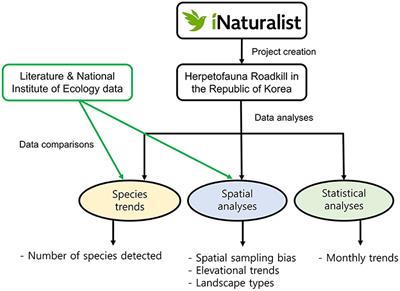 Citizen science and roadkill trends in the Korean herpetofauna: The importance of spatially biased and unstandardized data